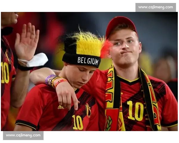 纳因戈兰喊话比利时：靠青年军闯世界杯